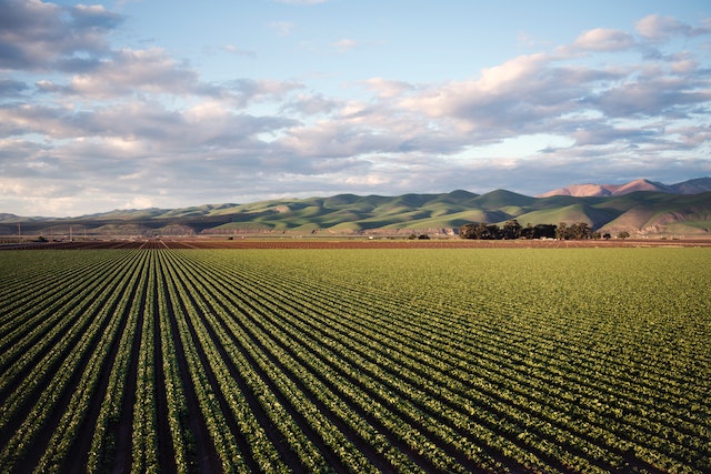 Surrey Farm Accounting Services